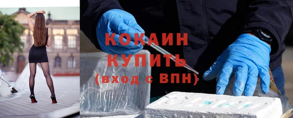 сатива Краснослободск