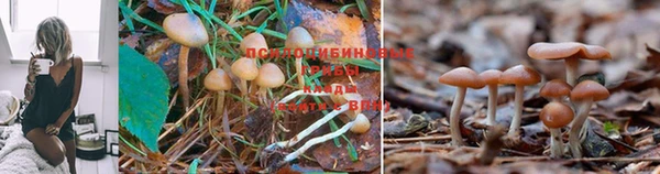 кристаллы Алексеевка