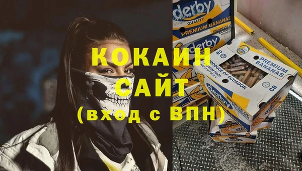 шишки Магадан