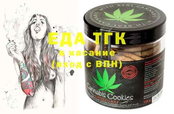 индика Кулебаки